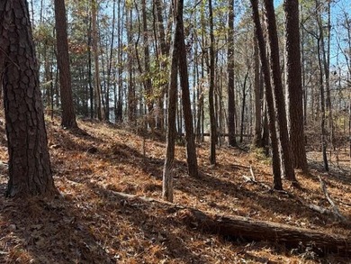 Beautiful 0.50-acre lakefront lot on big water in the Southwind on Monticello Golf Club At Savannah Lakes in South Carolina - for sale on GolfHomes.com, golf home, golf lot