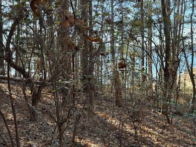 Beautiful 0.50-acre lakefront lot on big water in the Southwind on Monticello Golf Club At Savannah Lakes in South Carolina - for sale on GolfHomes.com, golf home, golf lot