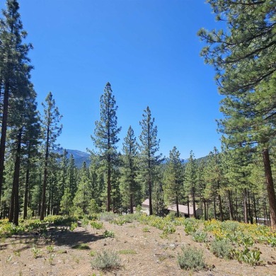 This exceptional large lot is is 1.72 acres locate at the end of on Grizzly Ranch Golf Club in California - for sale on GolfHomes.com, golf home, golf lot