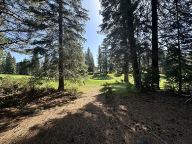Discover your dream homesite at the award-winning Bailey Creek on Bailey Creek Golf Course in California - for sale on GolfHomes.com, golf home, golf lot