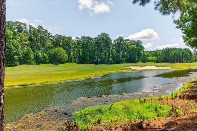A rare opportunity presents itself to acquire this move-in-ready on Bay Creek Golf Club in Virginia - for sale on GolfHomes.com, golf home, golf lot