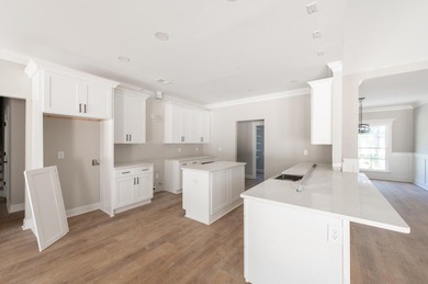 *Plumbing Trim Out and Landscape to be completed soon! Free on Midland Valley Country Club in South Carolina - for sale on GolfHomes.com, golf home, golf lot