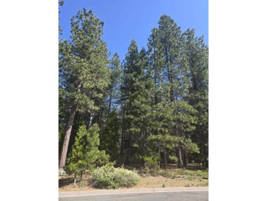 You will love this treed lot in the Siskiyou Lake Highlands on Mount Shasta Resort in California - for sale on GolfHomes.com, golf home, golf lot