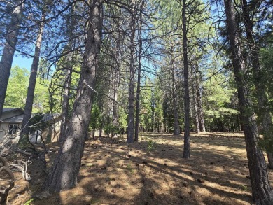 You will love this treed lot in the Siskiyou Lake Highlands on Mount Shasta Resort in California - for sale on GolfHomes.com, golf home, golf lot