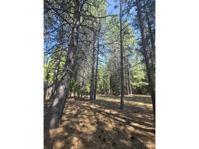You will love this treed lot in the Siskiyou Lake Highlands on Mount Shasta Resort in California - for sale on GolfHomes.com, golf home, golf lot