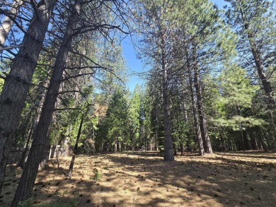 You will love this treed lot in the Siskiyou Lake Highlands on Mount Shasta Resort in California - for sale on GolfHomes.com, golf home, golf lot