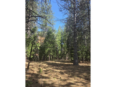 You will love this treed lot in the Siskiyou Lake Highlands on Mount Shasta Resort in California - for sale on GolfHomes.com, golf home, golf lot
