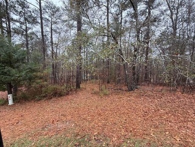 A rare find in SLV these days. A lake lot with a gentle slope on Monticello Golf Club At Savannah Lakes in South Carolina - for sale on GolfHomes.com, golf home, golf lot