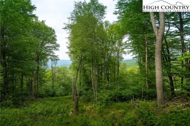 Embrace luxurious mountain living on this rare 5-acre lot with on Beech Mountain Club in North Carolina - for sale on GolfHomes.com, golf home, golf lot