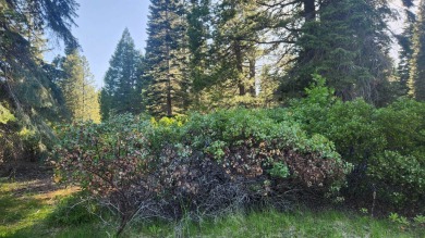 Gorgeous golf course lot in Bailey Creek. This lot is located on on Bailey Creek Golf Course in California - for sale on GolfHomes.com, golf home, golf lot