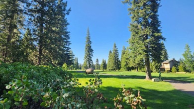Gorgeous golf course lot in Bailey Creek. This lot is located on on Bailey Creek Golf Course in California - for sale on GolfHomes.com, golf home, golf lot