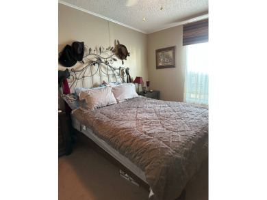 This charming 1996 2-bedroom Palm Harbor home is a must-see! on Schalamar Creek Golf and Country Club in Florida - for sale on GolfHomes.com, golf home, golf lot