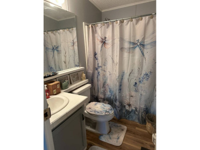 This charming 1996 2-bedroom Palm Harbor home is a must-see! on Schalamar Creek Golf and Country Club in Florida - for sale on GolfHomes.com, golf home, golf lot