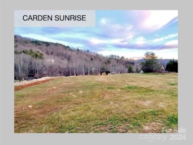 SPECIAL HOMESITE TO BUILD YOUR PERFECT RESIDENCE! Improved on Reems Creek Golf Club in North Carolina - for sale on GolfHomes.com, golf home, golf lot