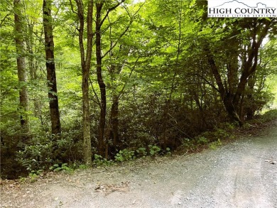 Nice laying lot on a quiet cul de sac. Short drive to Lake on Beech Mountain Club in North Carolina - for sale on GolfHomes.com, golf home, golf lot
