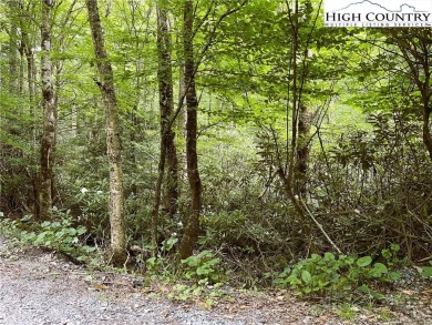 Nice laying lot on a quiet cul de sac. Short drive to Lake on Beech Mountain Club in North Carolina - for sale on GolfHomes.com, golf home, golf lot