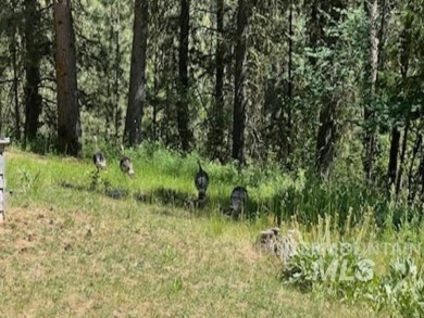 A cozy little log cabin. Two bedrooms, one is in the large open on Terrace Lakes Golf Resort in Idaho - for sale on GolfHomes.com, golf home, golf lot