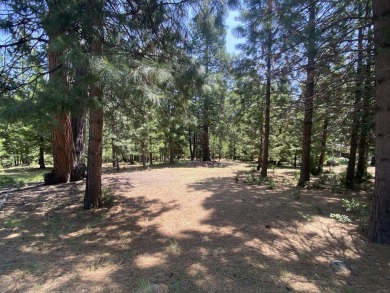 Beautiful Lot in Lake Almanor Country Club - Prime Location Near on Lake Almanor Country Club in California - for sale on GolfHomes.com, golf home, golf lot