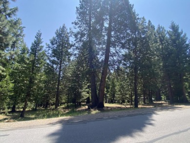 Beautiful Lot in Lake Almanor Country Club - Prime Location Near on Lake Almanor Country Club in California - for sale on GolfHomes.com, golf home, golf lot