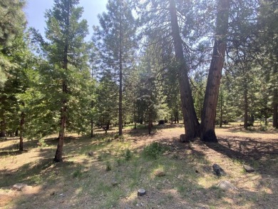 Beautiful Lot in Lake Almanor Country Club - Prime Location Near on Lake Almanor Country Club in California - for sale on GolfHomes.com, golf home, golf lot