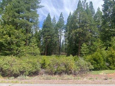 Prime Lot in Bailey Creek - Scenic Setting Near Golf Course A on Bailey Creek Golf Course in California - for sale on GolfHomes.com, golf home, golf lot