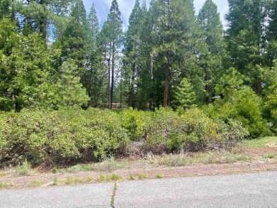 Prime Lot in Bailey Creek - Scenic Setting Near Golf Course A on Bailey Creek Golf Course in California - for sale on GolfHomes.com, golf home, golf lot