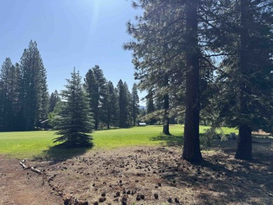 Beautiful 10th fairway views from this level property.  Quiet on Bailey Creek Golf Course in California - for sale on GolfHomes.com, golf home, golf lot
