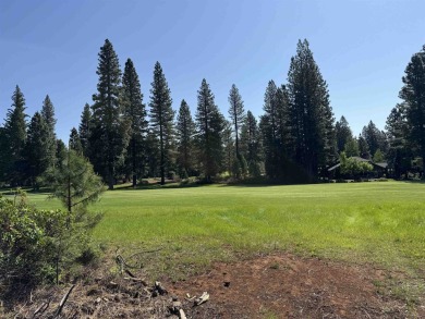 Beautiful 10th fairway views from this level property.  Quiet on Bailey Creek Golf Course in California - for sale on GolfHomes.com, golf home, golf lot