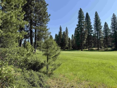 Beautiful 10th fairway views from this level property.  Quiet on Bailey Creek Golf Course in California - for sale on GolfHomes.com, golf home, golf lot