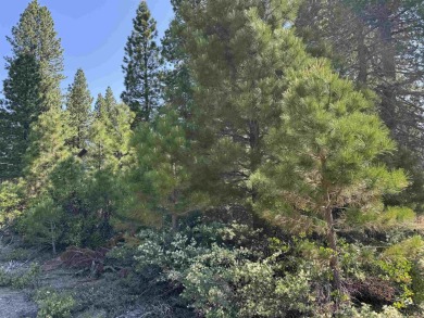 Beautiful 10th fairway views from this level property.  Quiet on Bailey Creek Golf Course in California - for sale on GolfHomes.com, golf home, golf lot