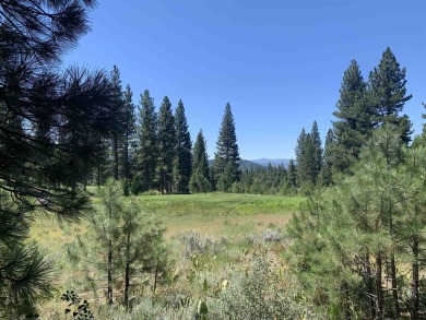 Stunning 1.22 acre homesite overlooking the Grizzly Ranch Golf on Grizzly Ranch Golf Club in California - for sale on GolfHomes.com, golf home, golf lot