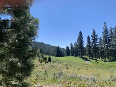 Stunning 1.22 acre homesite overlooking the Grizzly Ranch Golf on Grizzly Ranch Golf Club in California - for sale on GolfHomes.com, golf home, golf lot