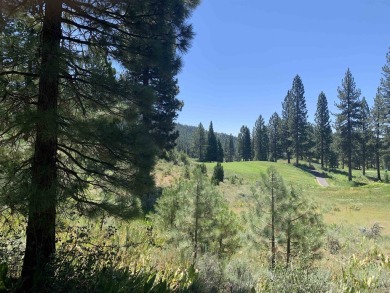Stunning 1.22 acre homesite overlooking the Grizzly Ranch Golf on Grizzly Ranch Golf Club in California - for sale on GolfHomes.com, golf home, golf lot