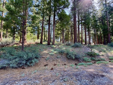 DO YOU HEAR THAT? It's the sound (silence) of the shooting stars on Nakoma Golf Resort in California - for sale on GolfHomes.com, golf home, golf lot