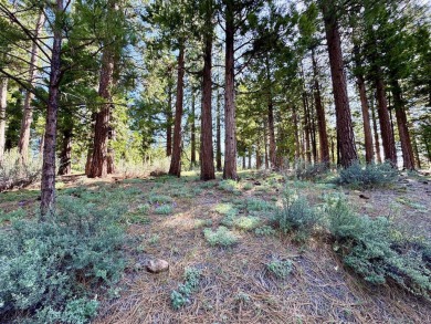 DO YOU HEAR THAT? It's the sound (silence) of the shooting stars on Nakoma Golf Resort in California - for sale on GolfHomes.com, golf home, golf lot