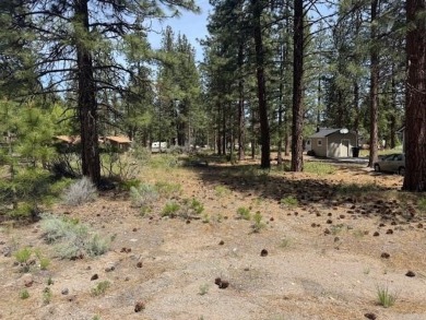 This .25 acre buildable lot is located on a very nice street; on Lake Shastina Golf Course in California - for sale on GolfHomes.com, golf home, golf lot