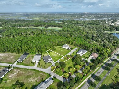 Welcome to the Conservatory at Hammock Beach where luxury living on Conservatory Course At Hammock Beach Resort in Florida - for sale on GolfHomes.com, golf home, golf lot