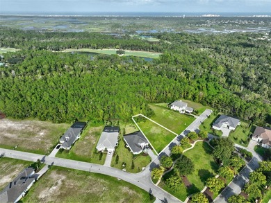 Welcome to the Conservatory at Hammock Beach where luxury living on Conservatory Course At Hammock Beach Resort in Florida - for sale on GolfHomes.com, golf home, golf lot