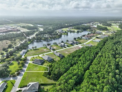 Welcome to the Conservatory at Hammock Beach where luxury living on Conservatory Course At Hammock Beach Resort in Florida - for sale on GolfHomes.com, golf home, golf lot