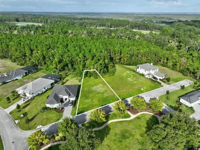 Welcome to the Conservatory at Hammock Beach where luxury living on Conservatory Course At Hammock Beach Resort in Florida - for sale on GolfHomes.com, golf home, golf lot