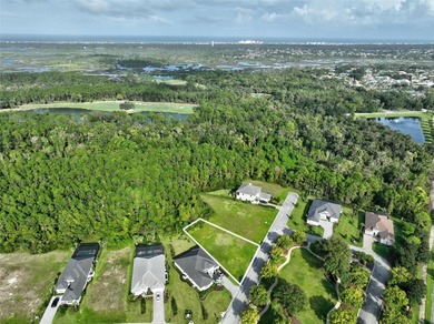 Welcome to the Conservatory at Hammock Beach where luxury living on Conservatory Course At Hammock Beach Resort in Florida - for sale on GolfHomes.com, golf home, golf lot