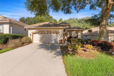 Imagine a carefree home filled with natural light and generous on Skyview At Terra Vista Golf and Country Club in Florida - for sale on GolfHomes.com, golf home, golf lot