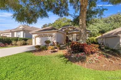 Imagine a carefree home filled with natural light and generous on Skyview At Terra Vista Golf and Country Club in Florida - for sale on GolfHomes.com, golf home, golf lot