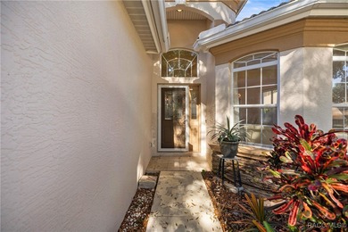 Imagine a carefree home filled with natural light and generous on Skyview At Terra Vista Golf and Country Club in Florida - for sale on GolfHomes.com, golf home, golf lot