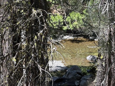 Don't miss this incredible opportunity to own a .48-acre lot on Bailey Creek Golf Course in California - for sale on GolfHomes.com, golf home, golf lot