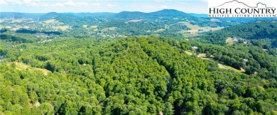 Discover the perfect blend of mountain air and beauty with this on Mountain Aire Golf Course in North Carolina - for sale on GolfHomes.com, golf home, golf lot