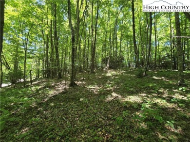 Discover the perfect blend of mountain air and beauty with this on Mountain Aire Golf Course in North Carolina - for sale on GolfHomes.com, golf home, golf lot