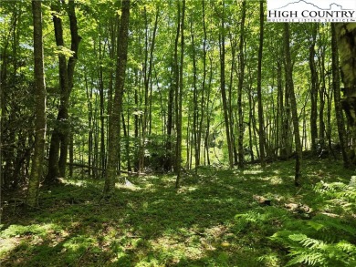 Discover the perfect blend of mountain air and beauty with this on Mountain Aire Golf Course in North Carolina - for sale on GolfHomes.com, golf home, golf lot