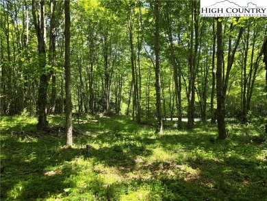 Discover the scenic mountain beauty with this .985-acre lot in on Mountain Aire Golf Course in North Carolina - for sale on GolfHomes.com, golf home, golf lot