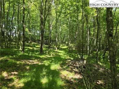 Discover the scenic mountain beauty with this .985-acre lot in on Mountain Aire Golf Course in North Carolina - for sale on GolfHomes.com, golf home, golf lot